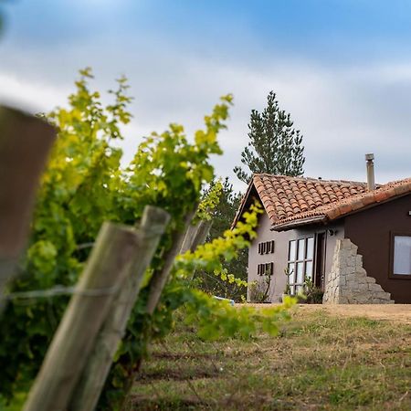 Bed and Breakfast Bungalow Miramar & Jeronimo At Casa Marin Vineyards Картахена Экстерьер фото